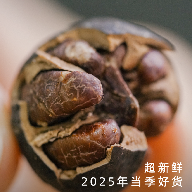 【外面买不到系列】2026饱记·临安山核桃 第十二年 焦香松脆，自然原味