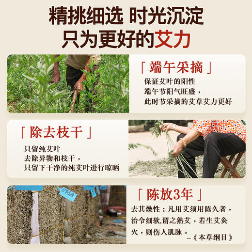 15:1金艾条 1.9*21cm 10支/盒 商品图2