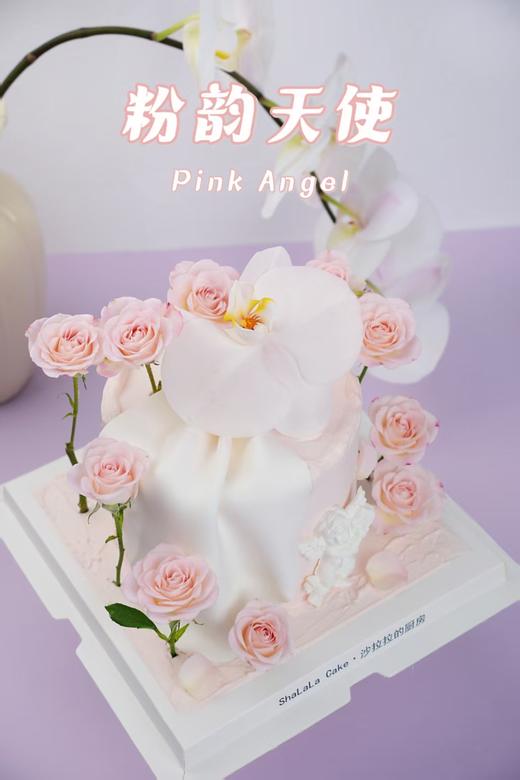 粉韵天使 商品图2