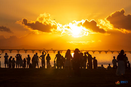 （包团12月） 深圳人才公园、天空之城，盐田港夜景 &中山深中通道日出2天 商品图0