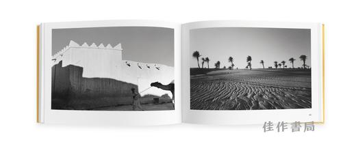 Raymond Depardon: Desert / 雷蒙?德帕东：沙漠 商品图3