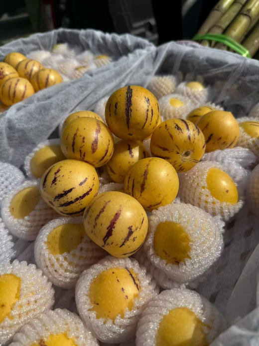 宏丰精选 七彩人参果 黄肉  水份足，口感很好，活动价9.9元一斤 商品图6