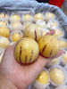 宏丰精选 七彩人参果 黄肉  水份足，口感很好，活动价9.9元一斤 商品缩略图8