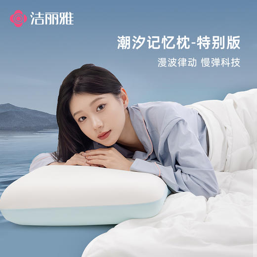 洁丽雅潮汐记忆枕家用成人舒适睡眠 商品图0