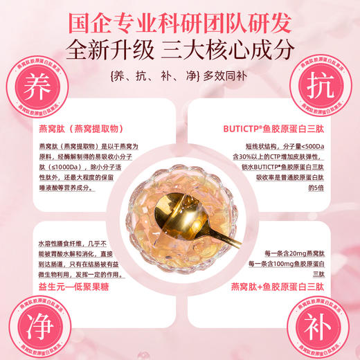 宣泰益生 燕窝肽胶原蛋白肽果冻 商品图2