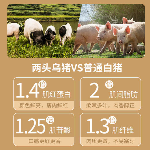 金字金华两头乌土猪肉组合套餐年货年礼预定猪手里脊五花筒骨烤肠 商品图1