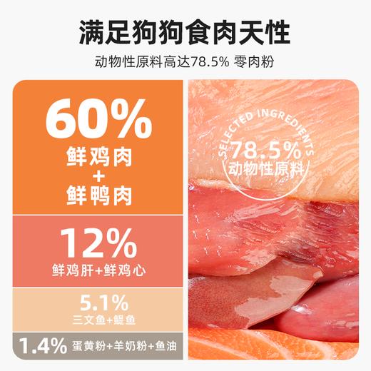 汪爸爸 烘焙全期全价犬粮2kg 商品图1