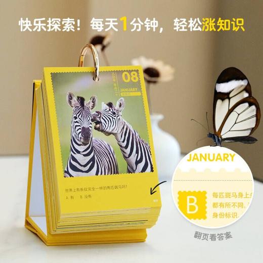 【童趣】美国国家地理万物可爱 2026日历 商品图2