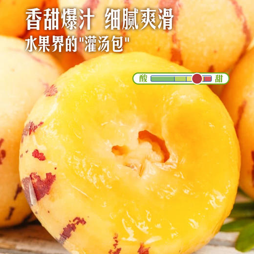 MM 山姆 云南人参果 1kg 商品图2