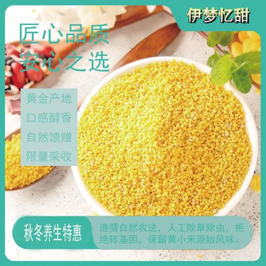 【山西静乐小米】农家自种，入口软糯，回味甘甜，精品杂粮，煮粥必备哦~ 商品图4