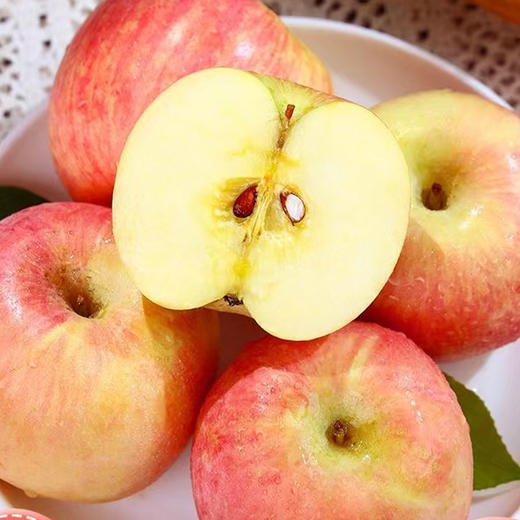 公益助农 山西2025新果农家自种红富士苹果10斤装 商品图1