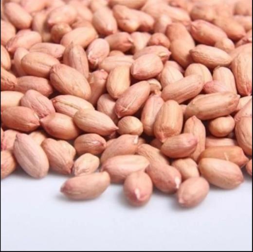 豫粮优选·五谷粮品白沙花生 多规格任选 籽粒圆润饱满 光滑鲜嫩 商品图4