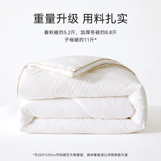 多喜爱 路易斯德绒全棉【抗菌防螨】【A类面料】【进口德绒纤维】8斤加厚冬被 商品图1