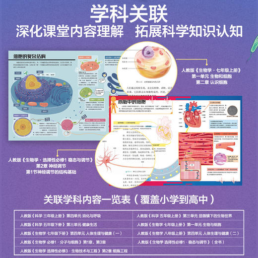身体运转的秘密 人体细胞科学小百科 科学家带你了解不可思议的人体不可思议的人体 商品图2