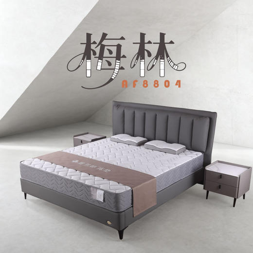 AF8804真皮床架 商品图0