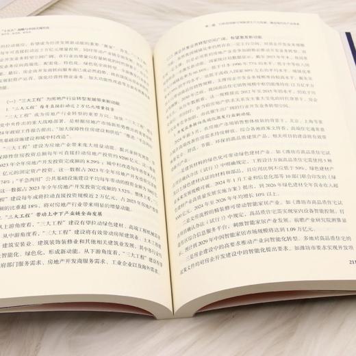 “十五五”战略与中国式现代化:新形势.新思路.新举措 商品图4