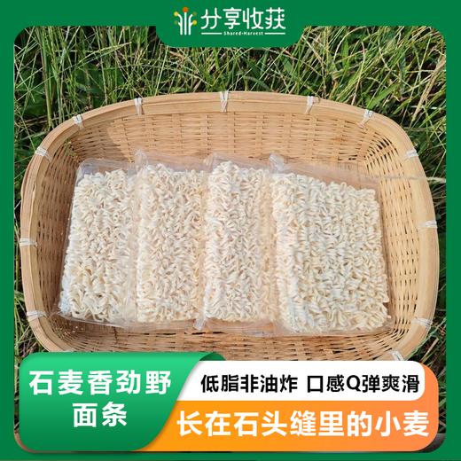 石麦香劲野面条 | 低脂非油炸 口感Q弹爽滑 | 基地直发 * Noodles 商品图0