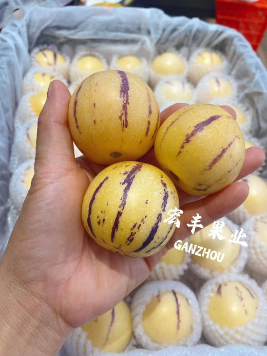 宏丰精选 七彩人参果 黄肉  水份足，口感很好，活动价9.9元一斤 商品图7