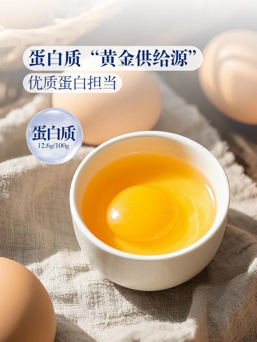 聚便利 X 山姆 Member's Mark 精选鲜鸡蛋 1.59kg（30枚） 商品图6