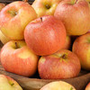 公益助农 山西2025新果农家自种红富士苹果10斤装 商品缩略图4