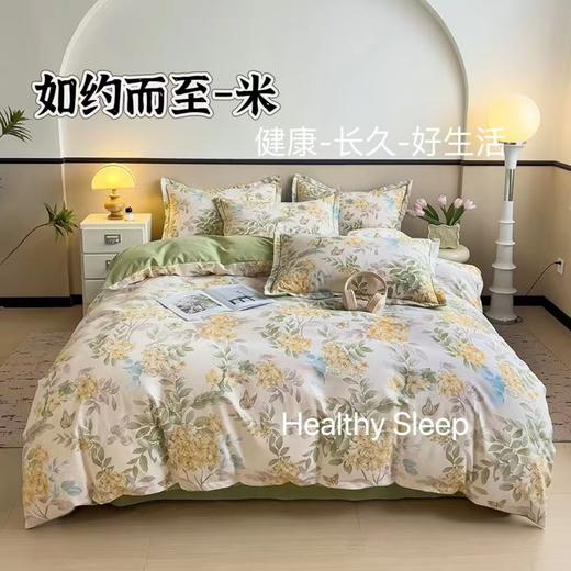 D111964秋冬暖意舒适新疆长绒棉花全棉生态磨毛四件套 商品图0