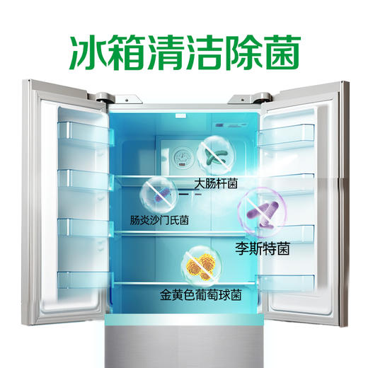 滴露家居清洁除菌喷雾净粹青苹500ml 商品图7