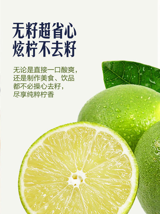 MM 山姆 无籽青柠檬 1.5kg 商品图2