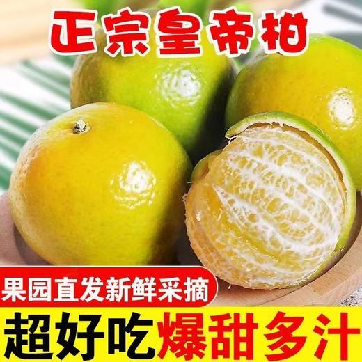 【福利❗️19.9抢3斤🔥正宗皇帝柑】广西新鲜橘子当季水果贡桔子非沃柑砂糖橘整箱 商品图0