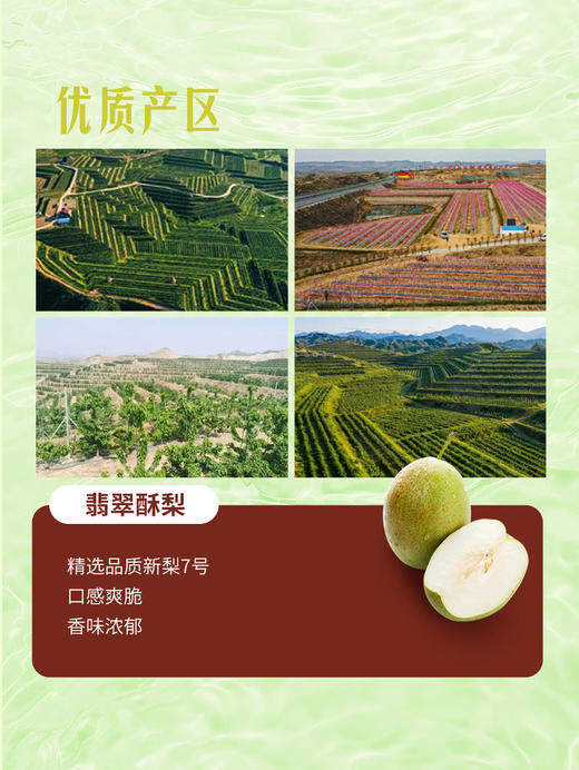 MM 山姆 翡翠酥梨 3kg 商品图4