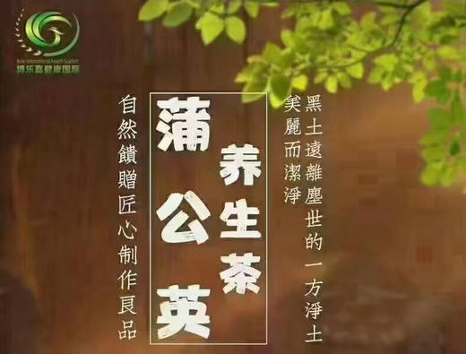 一茶在手，万事不愁；蒲公英发酵根茶，经过特殊制茶烘焙及发酵工艺，将蒲公英原的“寒性食材”转化为“中性特质”，让其食材的功效更为完美；每天来一杯，健康生活每一天![得意] 商品图2