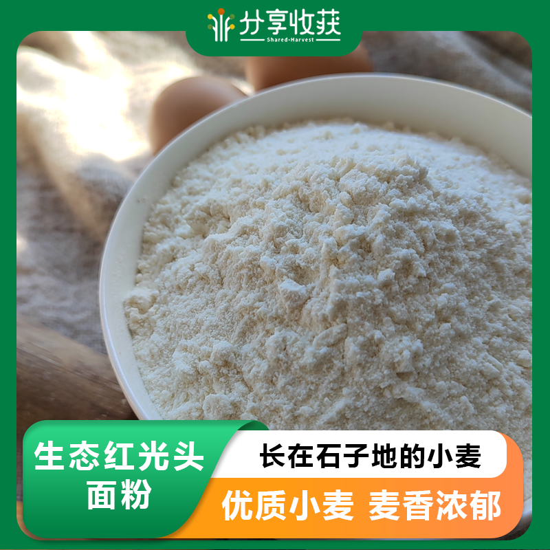 生态砂地红光头面粉（高筋、全麦）| 公平贸易 * Honguangtou High Gluten Bread Flour | Fair Trade