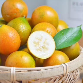 【滑皮金桔】产自广西融安，有名的“金桔之乡”，带皮吃的桔子，品质细腻清脆、甜度高而闻名