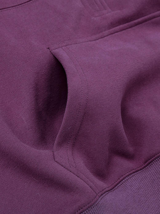 秋冬新款复古紫半拉链立领卫衣 宽松短款刺绣设计感上衣 潮酷休闲风套头衫 商品图3