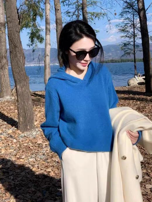 【百图lulu定制】【自由连帽衫】仿羊绒 针织毛衣 连帽衫 商品图0