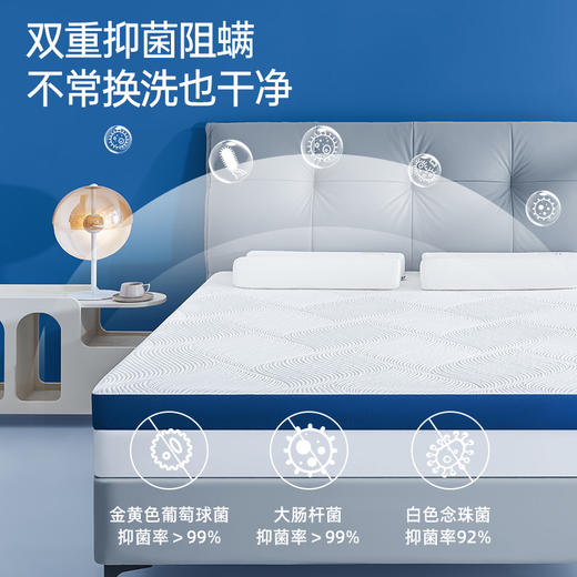 深睡记忆棉护脊床褥垫 商品图3