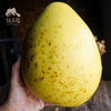 生态柚子（邮政快递） | 合作生产*Ecological pomelo | Partner Production 商品缩略图2