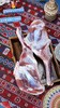 【2025新一批】180天自然生长 新疆罗布小羔羊【罗布·小羔羊🐑】带来了风味独特、口感自然的好羊肉 商品缩略图3