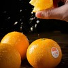 放心阳光橙2.5kg/件 商品缩略图3
