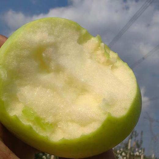 【顺丰发货】陕西瑞雪苹果 玫瑰花香 高甜脆蜜  商品图4