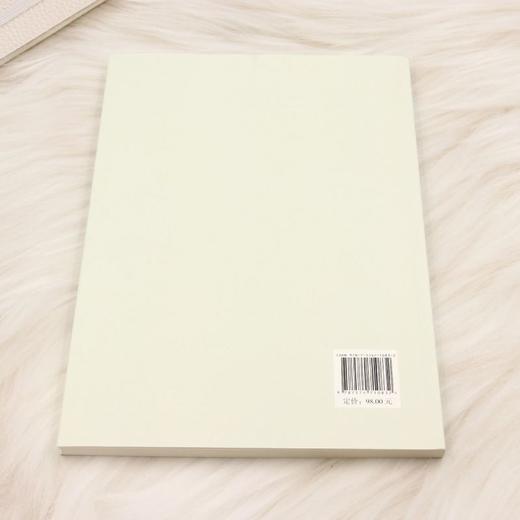 宋辽金花鸟画审美范式的冲突与融合研究 商品图2