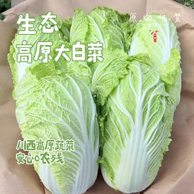 【预售7月5号/6号发货】生态高原大白菜/牛心莲白（农场直发-顺丰包邮）|4-4.5斤装，来自四川小金，生产者：吴明清【合作生产，公平贸易】