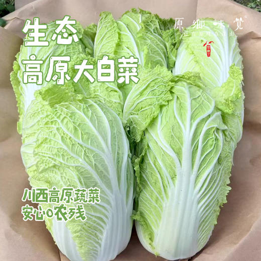 【预售7月5号/6号发货】生态高原大白菜/牛心莲白（农场直发-顺丰包邮）|4-4.5斤装，来自四川小金，生产者：吴明清【合作生产，公平贸易】 商品图0