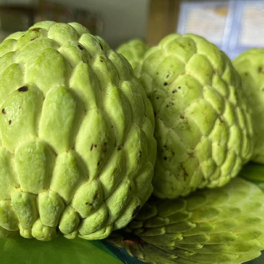 泰国释迦果 3-4#(净重2.8-3.2斤) 商品图10