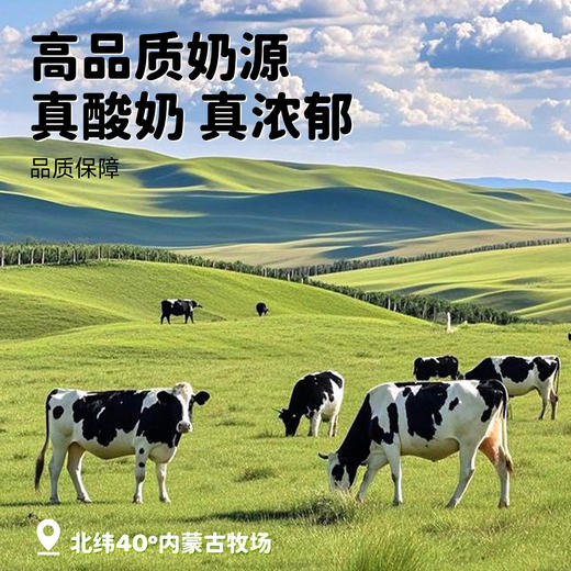 【FX】西域美农欧若姆草原烤酸奶原味 118g/罐 金桔味108g/罐 咖啡味108g/罐 商品图3