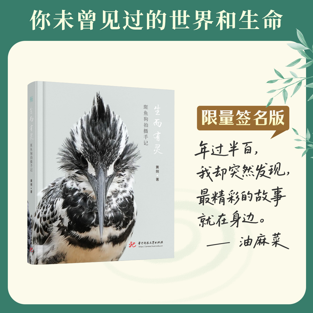 油麻菜新书《生而有灵》·【签名版】 “最精彩的故事就在身边”带你走进未曾见过的世界