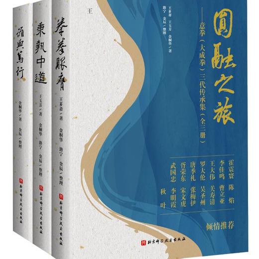 圆融之旅意拳（大成拳）三代传承集（全三册）（文创赠品礼盒版） 商品图2