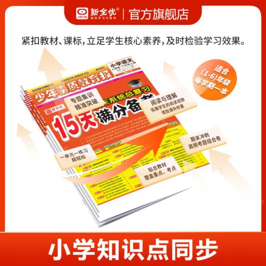 2025秋 上册 人教版 三年级 数学 《15天满分备考》 商品图1