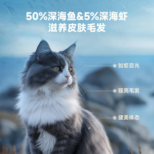鲜朗 烘焙全价猫粮（海洋鱼配方）2kg 商品图1