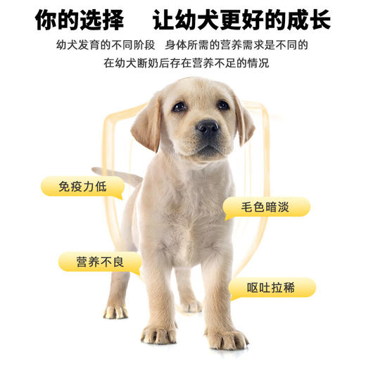 汪爸爸 鲜肉幼犬粮1kg 商品图2