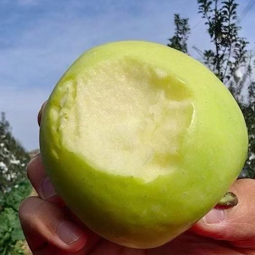 【顺丰发货】陕西瑞雪苹果 玫瑰花香 高甜脆蜜  商品图0